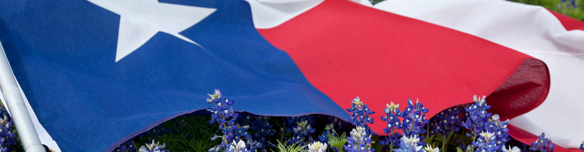 Texas flag in a field of bluebonnet flowers